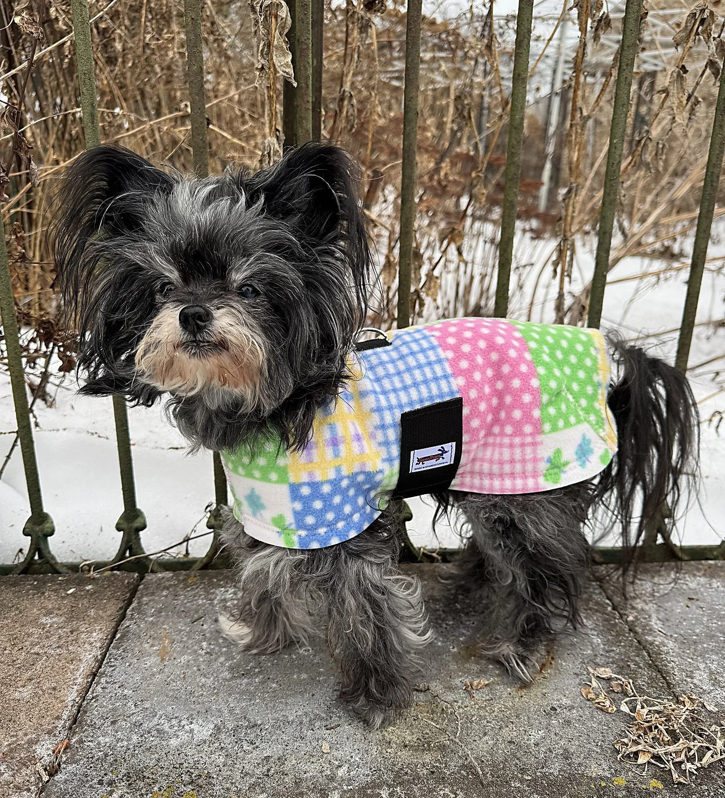 Gurple Tie Dye Fleece Dog Coat — Snugpups | Handmade Dog Coats